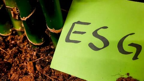 Você sabe o que é ESG e a sua importância para a empresa?