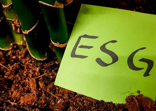 Você sabe o que é ESG e a sua importância para a empresa?