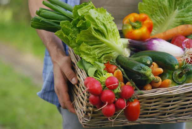 Pessoa carregando uma cesta com frutas, verduras e legumes