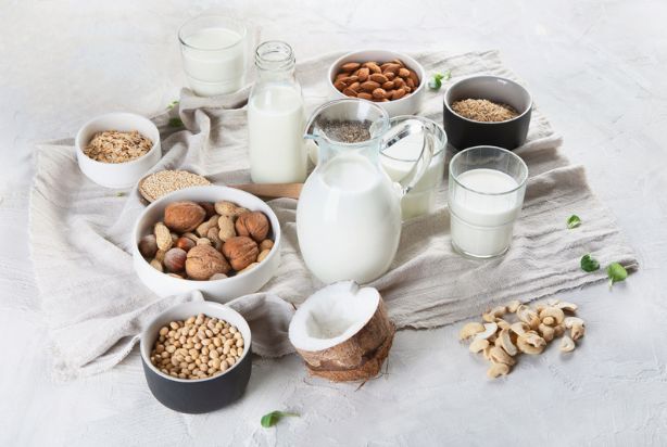 Tipos de leite: conheça os de origem animal e vegetal