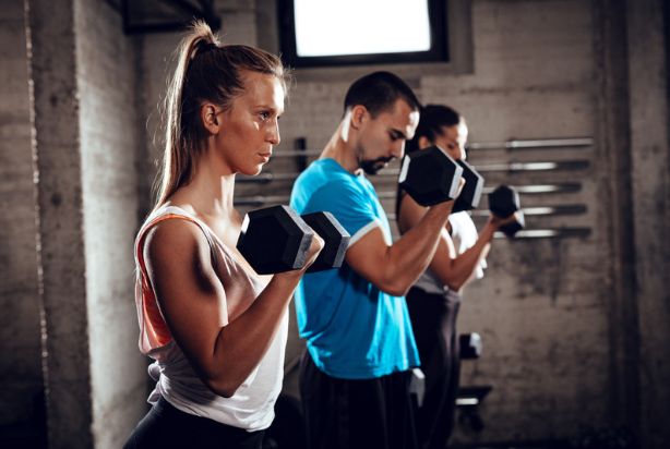 Treino de bíceps, 5 exercícios para fazer seu bíceps explodir - Personal  Trainer Online