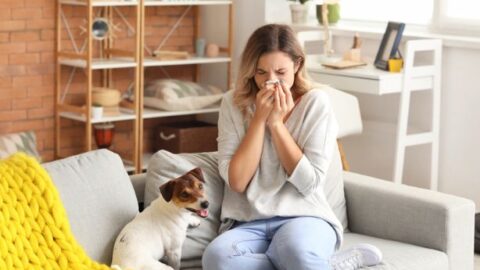 Tipos de alergia: conheça os principais e como tratar
