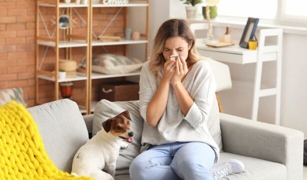Tipos de alergia: conheça os principais e como tratar